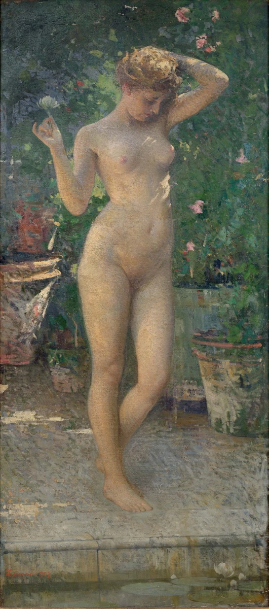 La ninfea